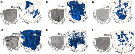 Frontiers Large Volume Fib Sem D Reconstruction An Effective Method