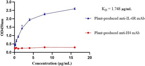 Plant Produced Anti Hil R Binding Efficiency To Human Recombinant