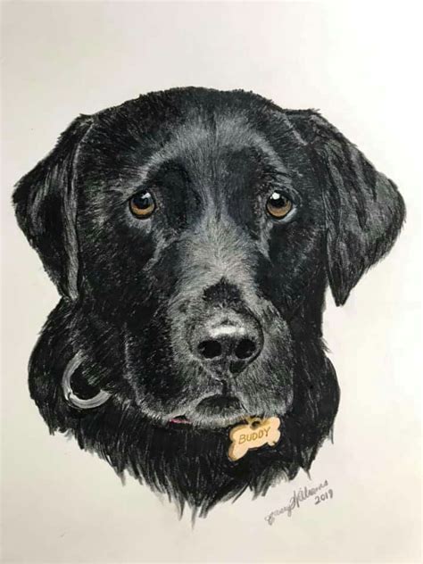 Black Dog Drawing With A Bone