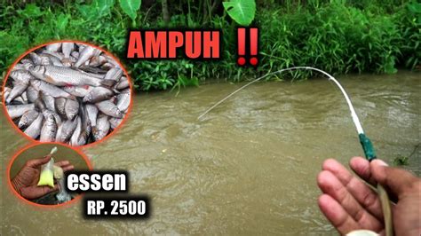 Membuat Essen Berkualitas Tanpa Menguras Saku Membuat Umpan Mancing