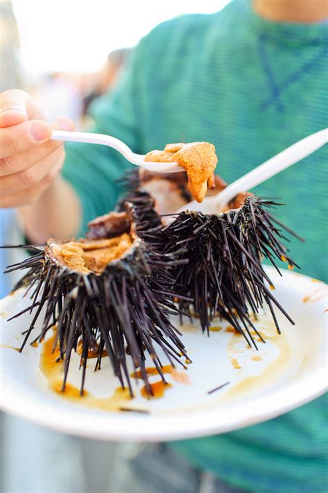 Sea Urchin Food