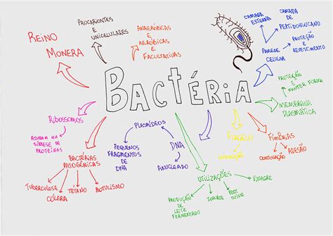 Mapa Mental de Microbiologia sobre Bactérias Microbiologia