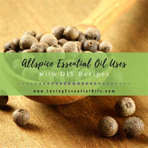 Allspice Essential Oil Recipes And Uses EO Spotlight Loving