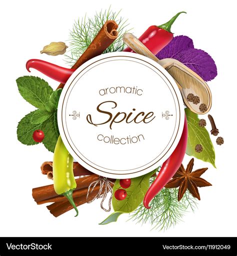 Spice Round Banner Royalty Free Vector Image Vectorstock