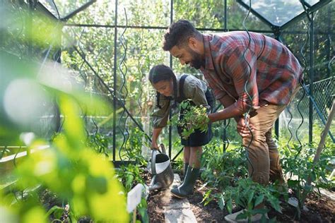 Comment entretenir votre jardin de façon écologique