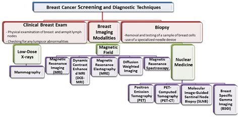 Clinical Breast Exam Diagram