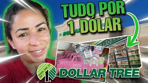 Dollar Tree Qualquer Item Novidades Na Loja De Um D Lar Nos