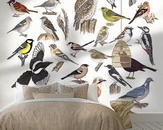 Gardenbirds Van Jasper De Ruiter Op Canvas Behang En Meer