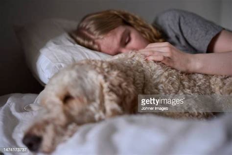 Dog Tearing Up Furniture Photos And Premium High Res Pictures Getty