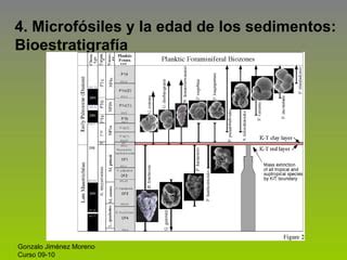 Biostratigrafia Ppt