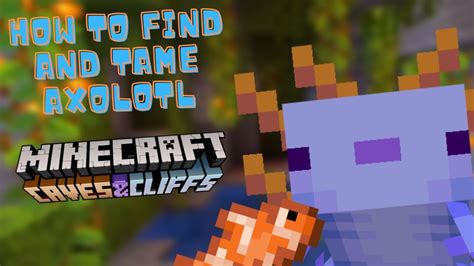 How To Find Tame And Breed An Axolotl In Minecraft 1 17 Caves And Cliffs Part 1 Youtube