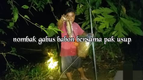 Nombak Ikan Di Malam Hari Youtube