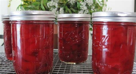 Red Hot Apple Butter An Homage To Heathers Mamaw SBCanning Homemade Canning Recipes
