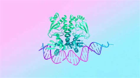 Google Deepmind S New AlphaFold 3 AI Can Model Proteins DNA RNA