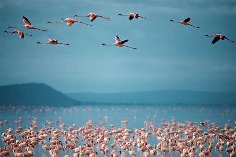 Quando Andare A Lake Manyara National Park Clima E Meteo Il Periodo