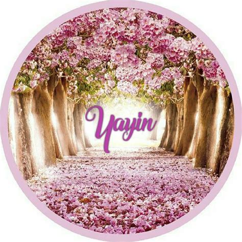 A Pink Circle With Trees And Flowers In The Middle Is Surrounded By