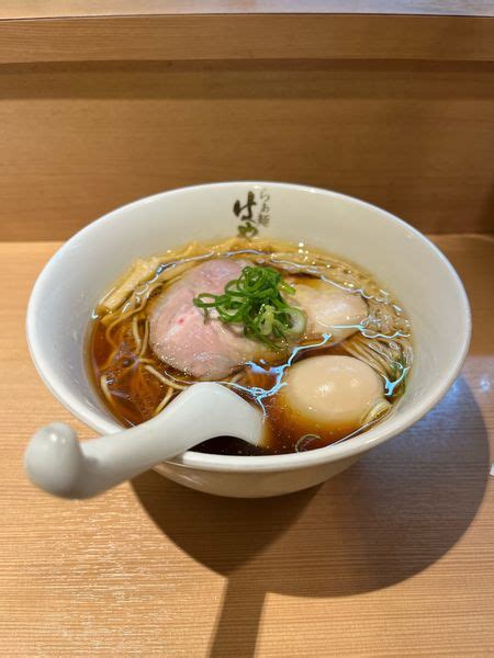 『特製醤油らぁ麺』らぁ麺 はやし田 新宿本店のレビュー ラーメンデータベース