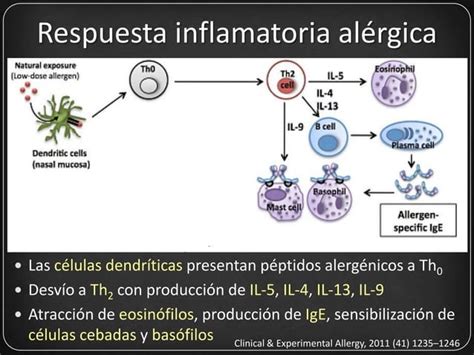 Mecanismos de acción de la inmunoterapia PPT Descarga Gratuita