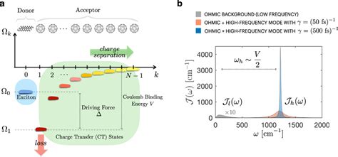 Coulomb Potential And Vibrational Environments A Schematic