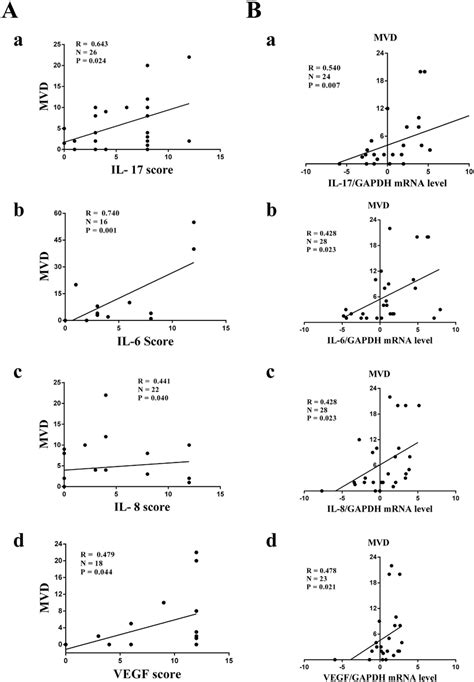 Correlation Between Mvd And Il 17 Il 6 Il 8 Vegf In Human Lung Download Scientific Diagram