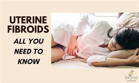 Uterine Fibroids All You Need To Know Fetomat Wellness