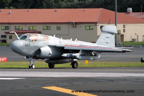 The Aviation Photo Company EA 6 Prowler Grumman US Navy VAQ 142