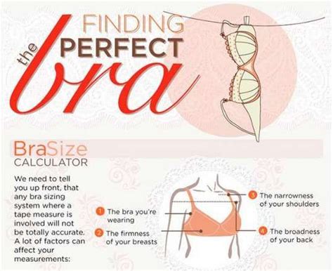 Proper Bra Sizing Infographics Bra Sizes Bra Infographic