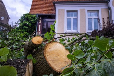 Naturgefahrenbilanz Versicherte Sch Den Steigen Auf Milliarden Euro