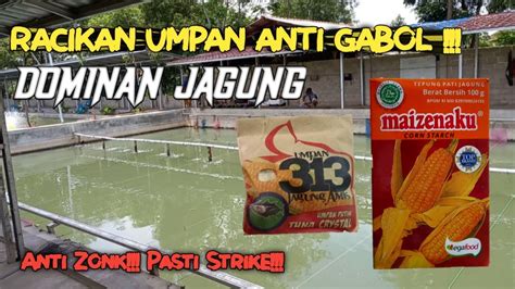 Racikan Umpan Ikan Mas Dominan Jagung Youtube