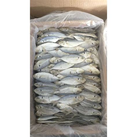 Ikan Asin Selar Kecildengklang 250 Gram Kualitas Terbaik Lazada