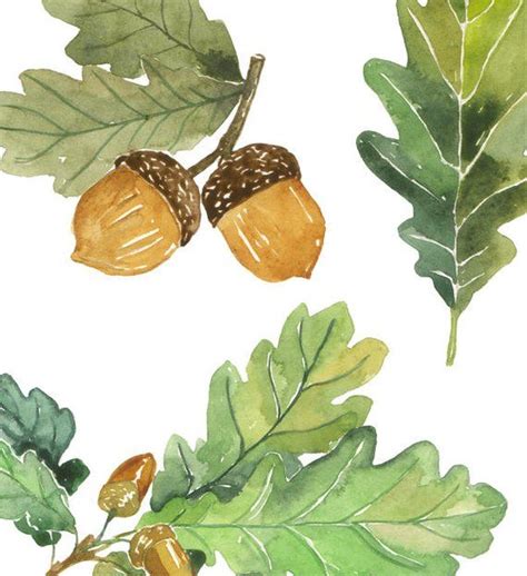 clipart acorns oak leaves 10 free Cliparts | Download images on ...