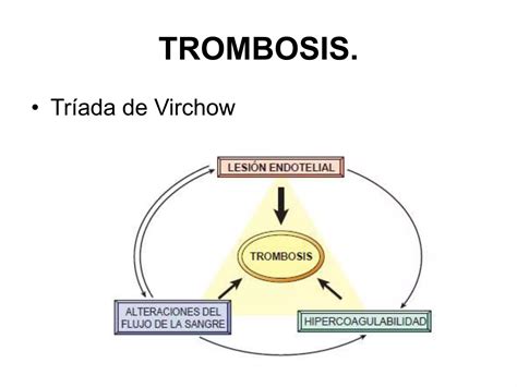 Cap Tulo Transtornos Hemodin Micos Enfermedad Tromboemb Lica Y Shock