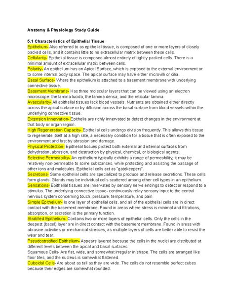 Chapter Joints Anatomy And Physiology