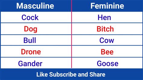 Masculine And Feminine Gender 100 Examples Of Masculine And Feminine Gender Youtube