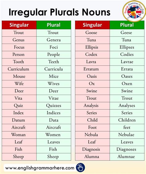 Rules For Irregular Plural Nouns For Kids