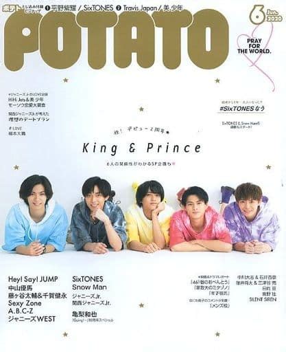 駿河屋 付録付potato 2020年6月号 ポテト（potato）