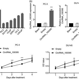 Overexpression Of Circrna Inhibited Proliferation Of Prostate