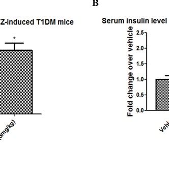 Effects Of Empagliflozin On Insulin Expression And Serum Levels The