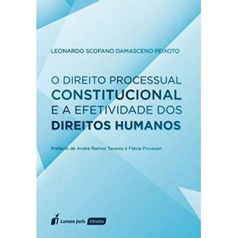 O Direito Processual Constitucional E A Efetividade Dos Direitos