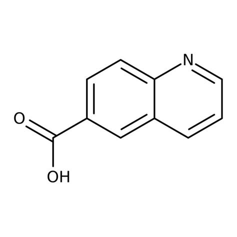 Quinoline Carboxylic Acid Thermo Scientific Quantity G