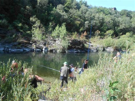 Camping Les Gorges de l Hérault Campingfrankrijk eu