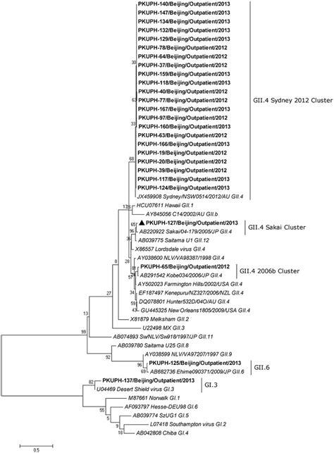 Figure 2 Phylogenetic Analysis Of The Partial Rdrp 273 Bp Flickr