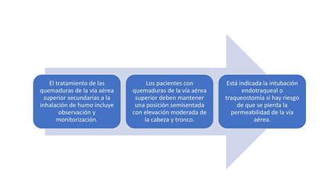 Lesiones Por Inhalacion De Humo Diagnostico Y Pptx