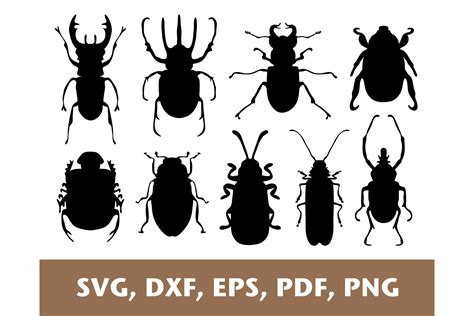 Bug Svg Beetle Svg Bugs Svg Cricut Graphic By Justgreatprintables