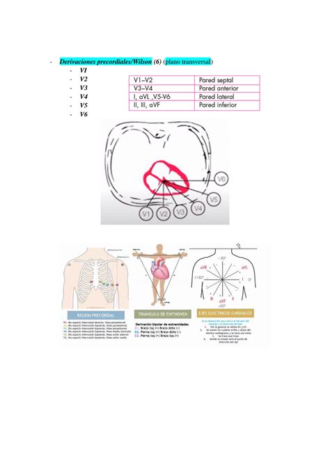 SOLUTION Electrocardiografía ECG Principios básicos Studypool