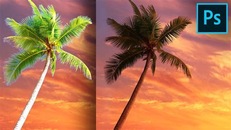 Cut Out Trees Without Halos Or Fringes In Photoshop