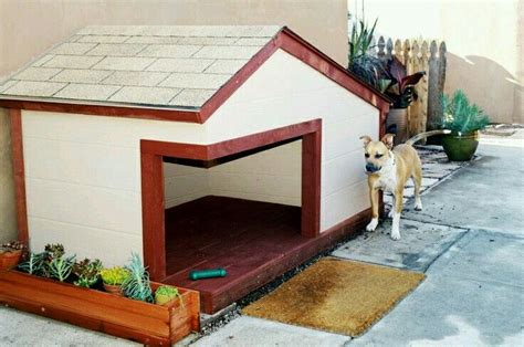 Casas De Cemento Para Perros