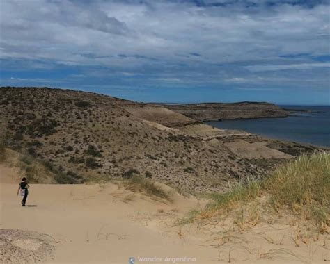 Puerto Madryn Travel Secrets: Patagonia's Best Hub for Marine life | Wander Argentina