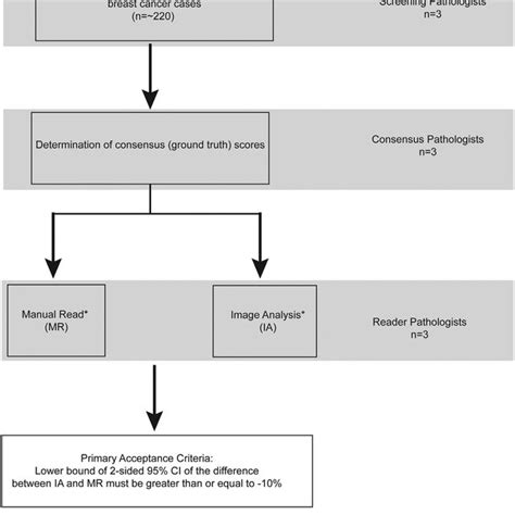 Study Workflow Flowchart Presenting The Workflow Of The Validation