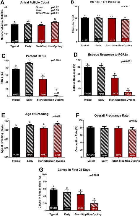 Differences In Reproductive Parameters By Puberty Group On A Antral